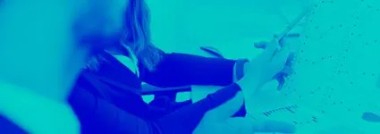 Gestión de inversiones SAP: ¿qué debo saber?