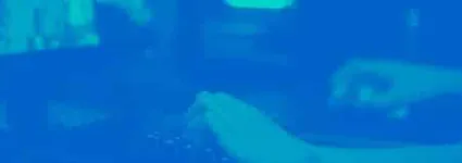 Unity Analytics: ¿Qué es y cómo funciona?