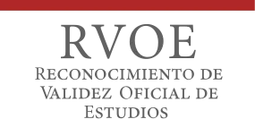 Empresa colaboradora Tokio School