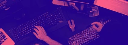 Programador Wordpress: las características